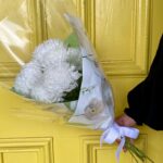 Chryssie White Disbud Bunch